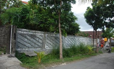 Rumah dengan Tanah Luas di area Denpasar