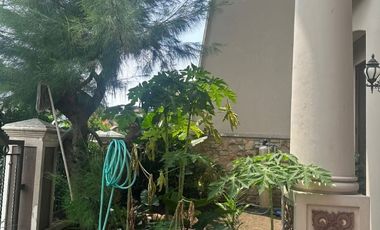 DISEWAKAN RUMAH MEWAH TAPI MURAH PAKUWON