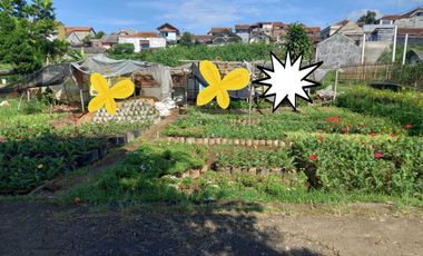 Tanah siap bangun cocok untuk tempat tinggal juga Villa