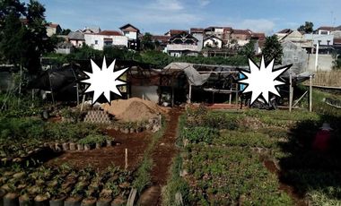 Tanah siap bangun cocok untuk tempat tinggal juga Villa