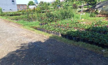 Tanah siap bangun cocok untuk tempat tinggal juga Villa