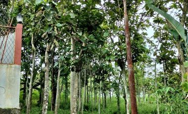 Dijual Tanah LT 8690 m² di Mekarlaksana, Ciparay Bandung