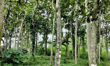 Dijual Tanah LT 8690 m² di Mekarlaksana, Ciparay Bandung