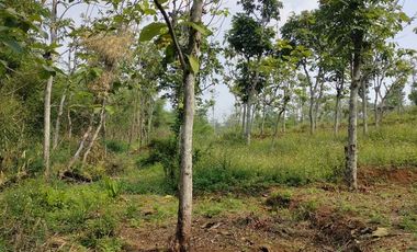 Dijual Tanah LT 8690 m² di Mekarlaksana, Ciparay Bandung