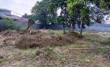 Tanah Luas Siap Bangun Di Area Ceger Jakarta Selatan