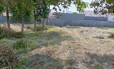 Tanah Luas Siap Bangun Di Area Ceger Jakarta Selatan