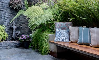 Polanco Garden en renta