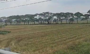 jual tanah murah  d  kota  Mojokerto bagus untuk  pergudangan