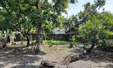 Tanah Luas di Kepatihan, Jombang – Cocok untuk Hunian & Bisnis