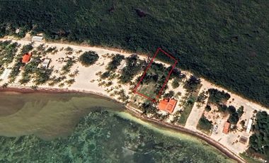 Venta Terreno frente al mar en Mahahual Q. Roo.