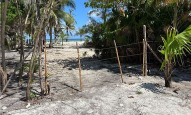 Venta Terreno frente al mar en Mahahual Q. Roo.
