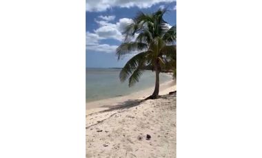 Venta Terreno frente al mar en Mahahual Q. Roo.