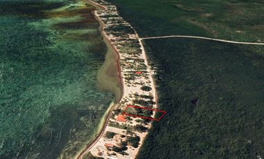 Venta Terreno frente al mar en Mahahual Q. Roo.