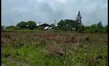 JUAL CEPAT LAHAN 4 HA COCOK UNTUK INDUSTRI/PABRIK DI TUBAN JAWA TIMUR