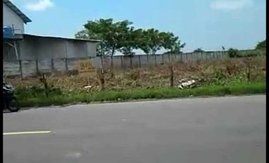 JUAL CEPAT LAHAN 4 HA COCOK UNTUK INDUSTRI/PABRIK DI TUBAN JAWA TIMUR