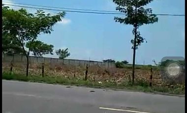 JUAL CEPAT LAHAN 4 HA COCOK UNTUK INDUSTRI/PABRIK DI TUBAN JAWA TIMUR