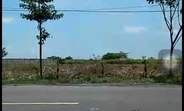 JUAL CEPAT LAHAN 4 HA COCOK UNTUK INDUSTRI/PABRIK DI TUBAN JAWA TIMUR