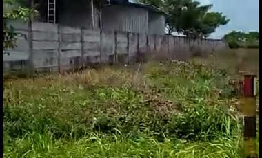 JUAL CEPAT LAHAN 4 HA COCOK UNTUK INDUSTRI/PABRIK DI TUBAN JAWA TIMUR
