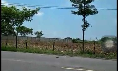 JUAL CEPAT LAHAN 4 HA COCOK UNTUK INDUSTRI/PABRIK DI TUBAN JAWA TIMUR