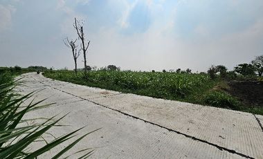 Sangat murah tanah pinggir jalan cor row 6 meter