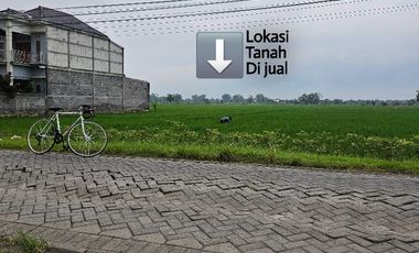 B.U  tanah sawah dekat jalan raya di jual murah