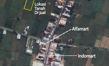B.U  tanah sawah dekat jalan raya di jual murah