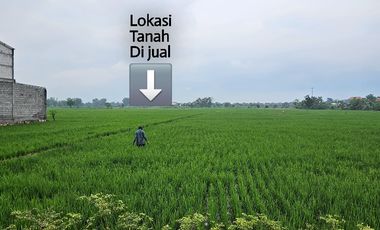 B.U  tanah sawah dekat jalan raya di jual murah