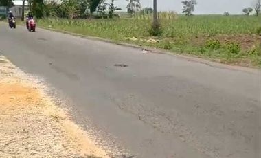 Lahan pertanian luas 50 HA harga 400 ribu permeter di Mantup, Lamongan