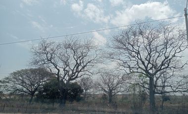 Venta Lote Industrial Carretera Juan Mina Barranquilla Atlántico Colombia