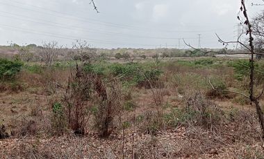 Venta Lote Industrial Carretera Juan Mina Barranquilla Atlántico Colombia