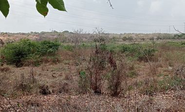 Venta Lote Industrial Carretera Juan Mina Barranquilla Atlántico Colombia