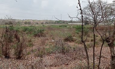 Venta Lote Industrial Carretera Juan Mina Barranquilla Atlántico Colombia