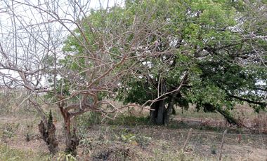 Venta Lote Industrial Carretera Juan Mina Barranquilla Atlántico Colombia