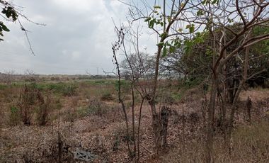 Venta Lote Industrial Carretera Juan Mina Barranquilla Atlántico Colombia