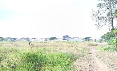 Tanah Kavling Dekat PT Jia Wei Di Desa Padakaton Ketanggungan Brebes