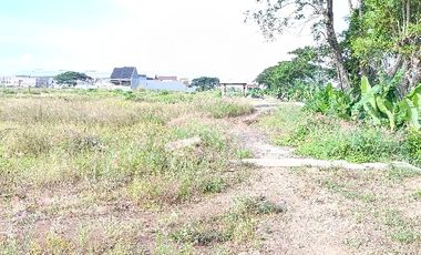 Tanah Kavling Dekat PT Jia Wei Di Desa Padakaton Ketanggungan Brebes