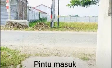 Tanah Kavling Dekat PT Jia Wei Di Desa Padakaton Ketanggungan Brebes