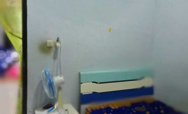 Dijual rumah komplek,lokasi strategis,seputaran jalan srikandi,nego