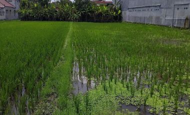 Tanah SHM 100 m ke KAMPUS UMY Jogja cocok usaha kost dll