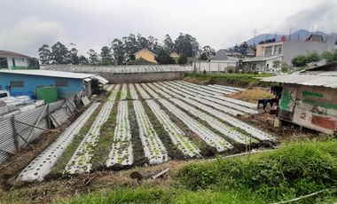 TANAH KEBUN DI CIHANJUANG RAHAYU