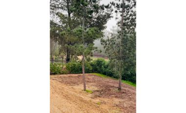 Arriedo por año corrido, Los Centinelas, Algarrobo