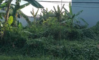 Tanah Kavling Murah di Prapen Indah