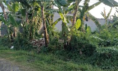 Tanah Kavling Murah di Prapen Indah