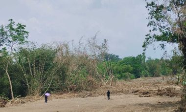 Dekat Jl Pakem Turi, Peruntukan Hunian, Tanah Murah Jogja