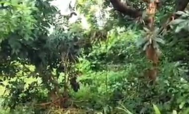 Dijual kavling murah di tanah baru, beji Depok