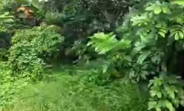 Dijual kavling murah di tanah baru, beji Depok