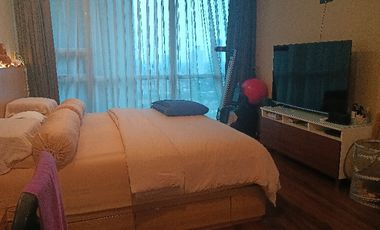DISEWAKAN PET FRIENDLY APARTEMEN KEMANG JAKARTA SELATAN
