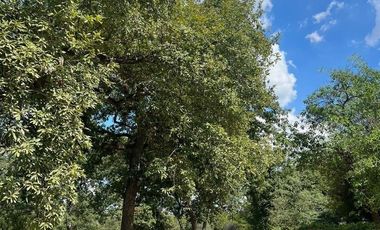 Quinta en venta en Montemorelos