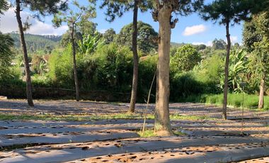 Dijual Tanah Lembang view pegunungan cocok untuk cafe atau Villa