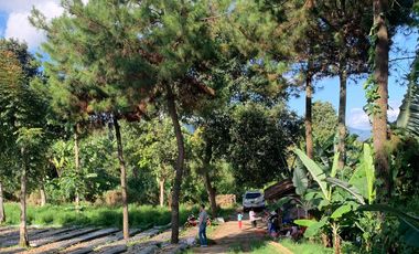 Dijual Tanah Lembang view pegunungan cocok untuk cafe atau Villa